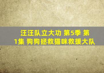 汪汪队立大功 第5季 第1集 狗狗拯救猫咪救援大队